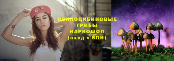 a pvp Алексеевка