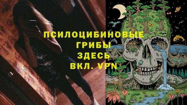 мескалин Покачи
