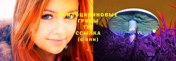 ПСИЛОЦИБИНОВЫЕ ГРИБЫ Покровск