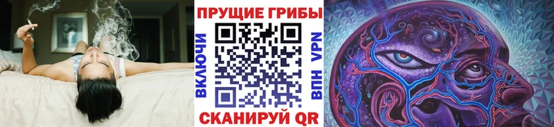 Галлюциногенные грибы мухоморы Новоалтайск