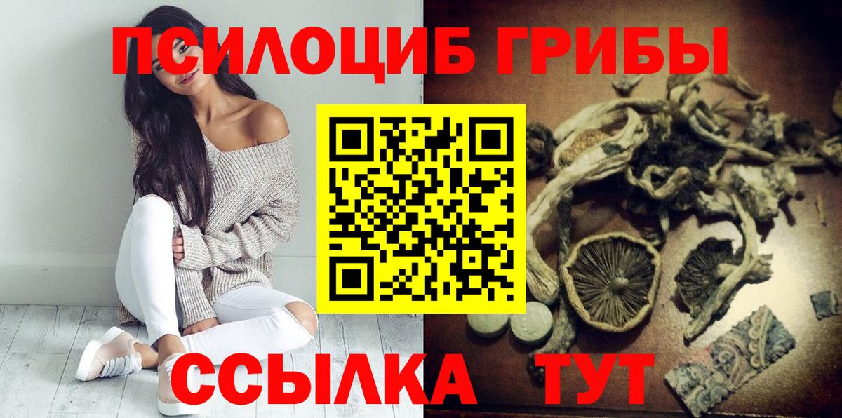 Псилоцибиновые грибы Cubensis Новоалтайск