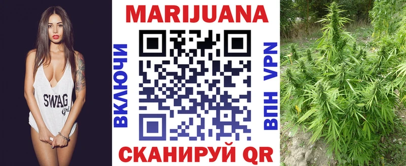 продажа наркотиков  Новоалтайск  МАРИХУАНА VHQ 