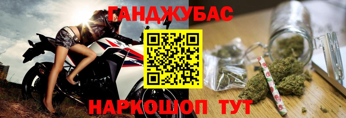 Каннабис конопля Новоалтайск